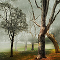 Mystical Trees